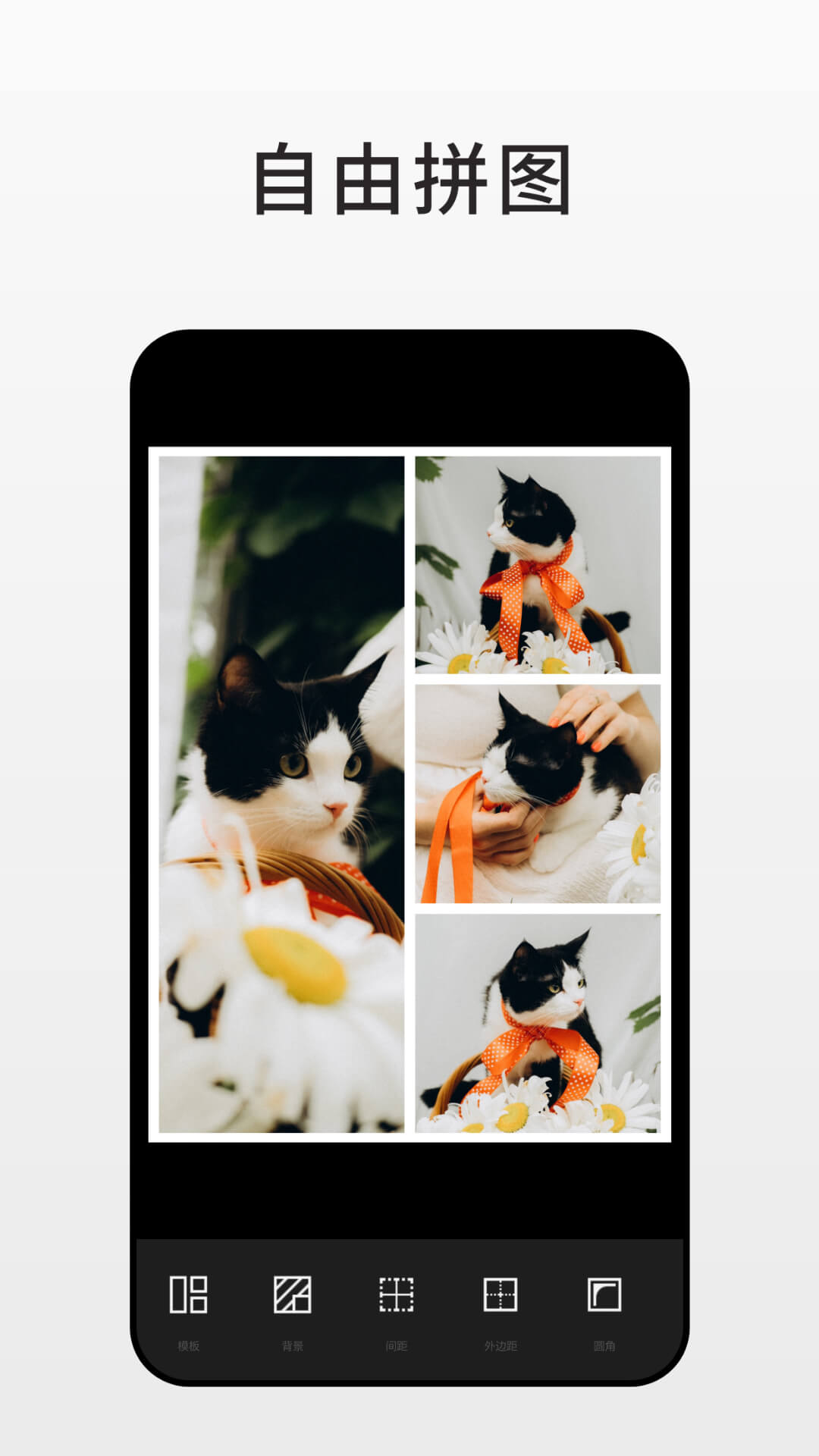 Fotor软件封面