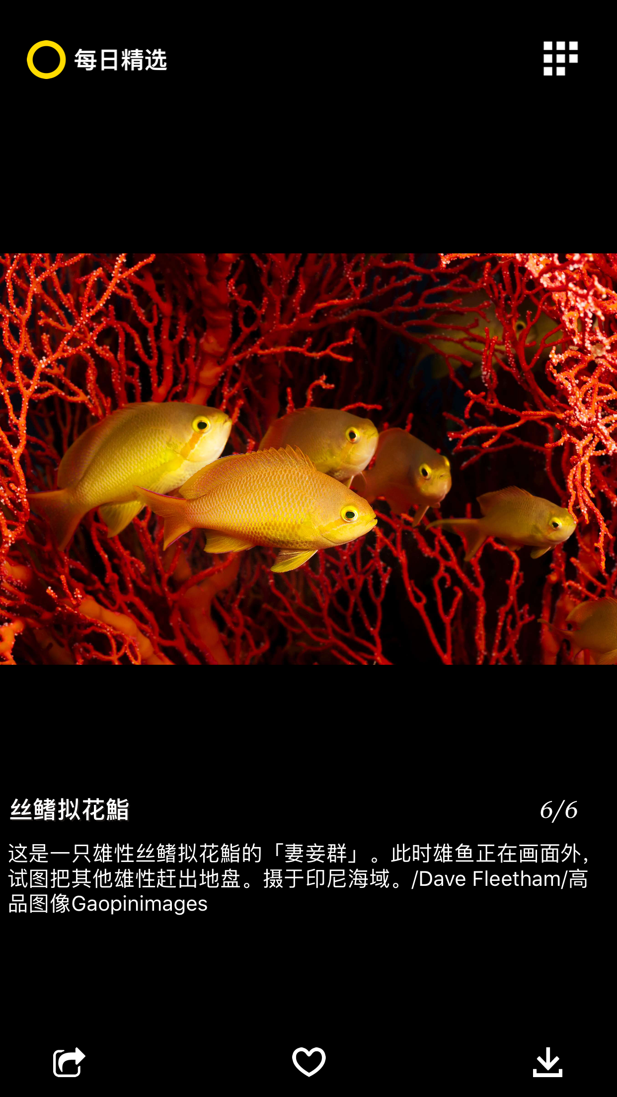 每日精选软件封面