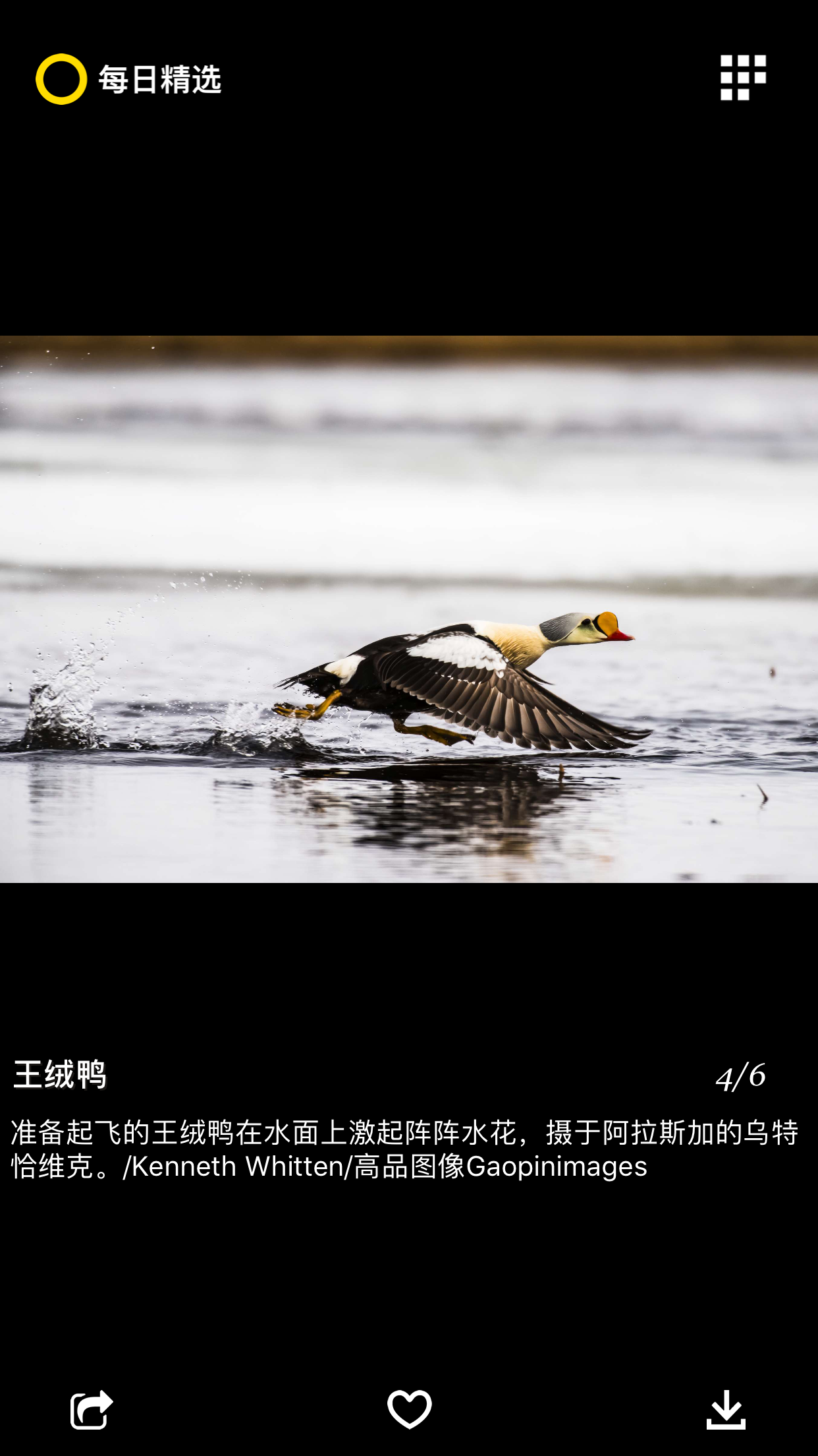 每日精选软件封面