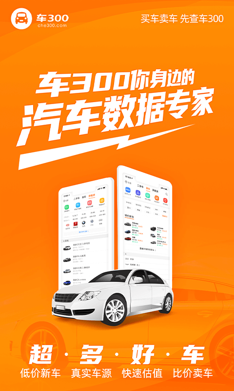 车300二手车软件封面