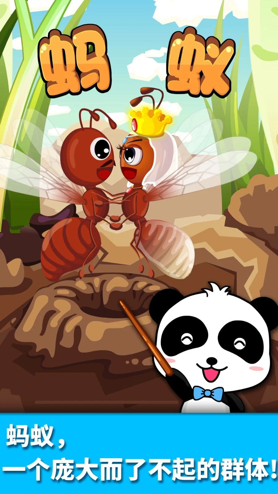 宝宝认蚂蚁软件封面