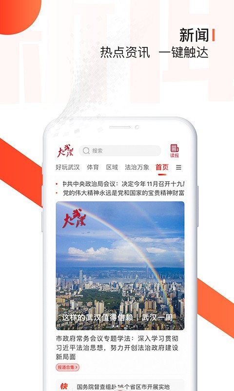 大武汉软件封面