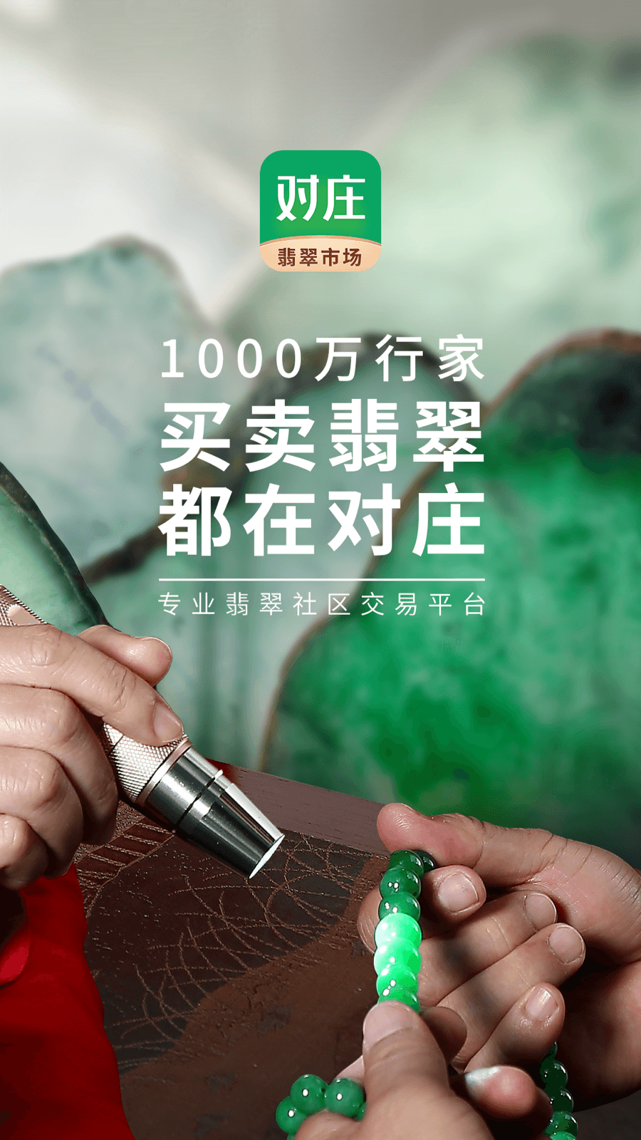 对庄翡翠软件封面