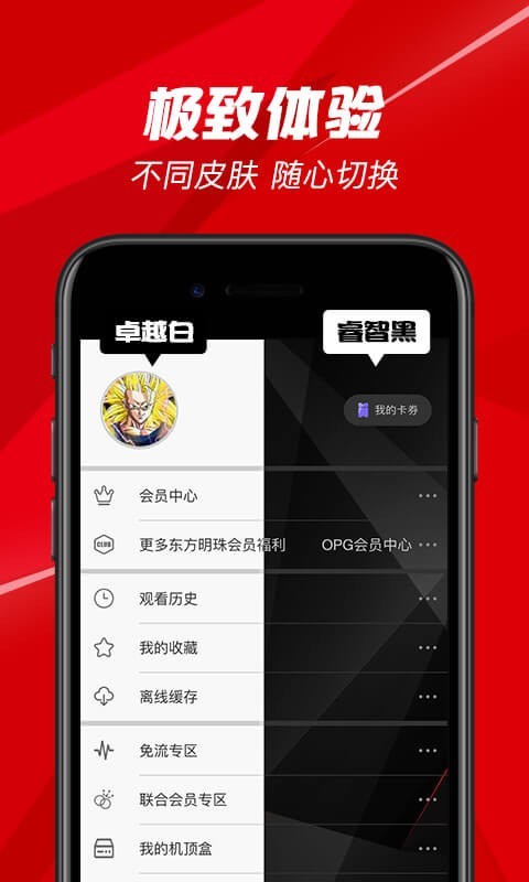 BesTV软件封面