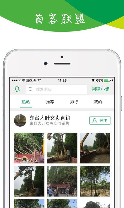 苗木宝软件封面