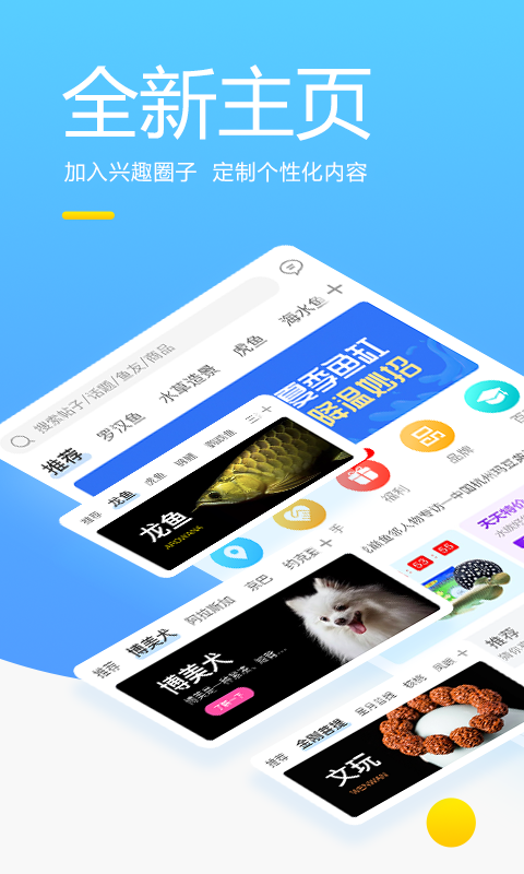 龙巅软件封面