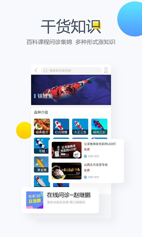 龙巅软件封面