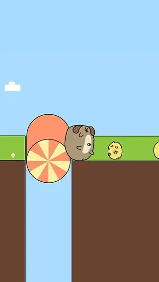 小动物转转ios软件封面