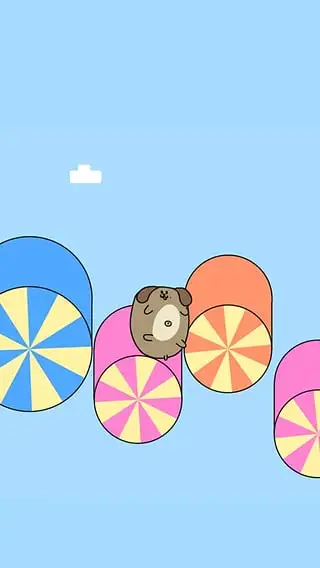 小动物转转ios软件封面