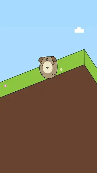 小动物转转ios软件封面