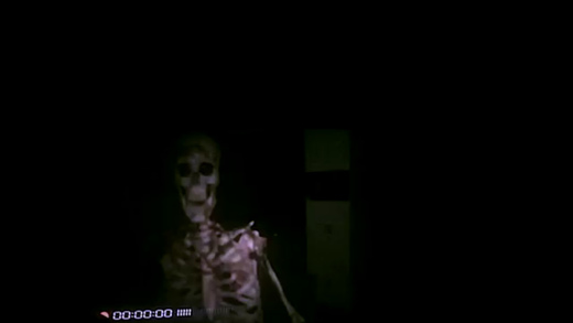 Night Terrors iOS软件封面