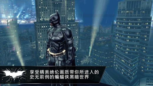 黑暗骑士崛起完整存档软件封面