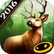 猎鹿人2016破解iOS v1.0.1 苹果版