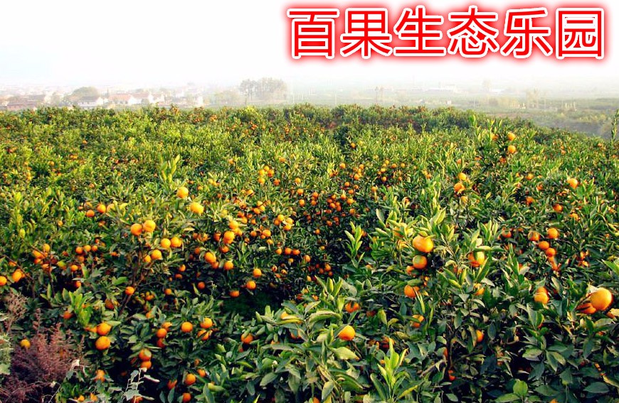 百果生态乐园软件封面