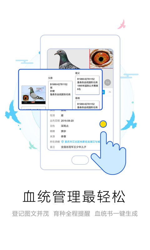 爱鸽者软件封面