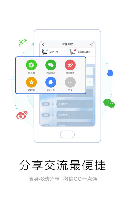 爱鸽者软件封面