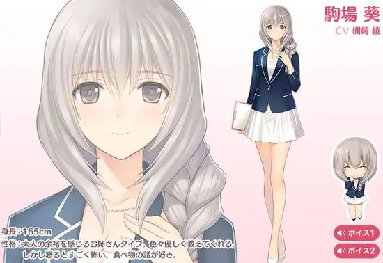 星之赛马口袋软件封面