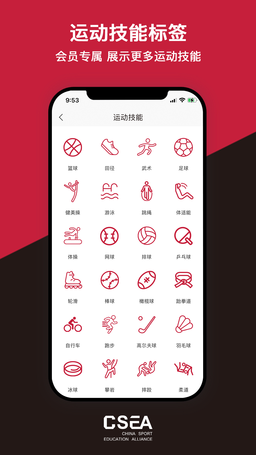 体教联盟软件封面