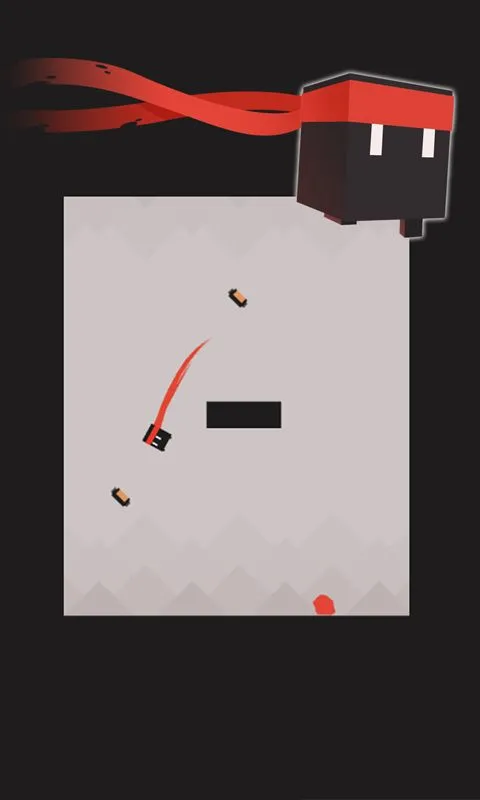 这是忍者软件封面