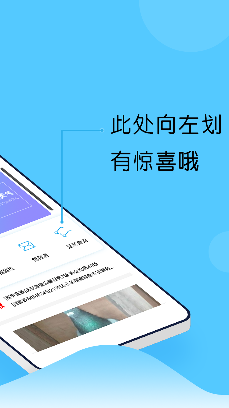 中鸽网软件封面