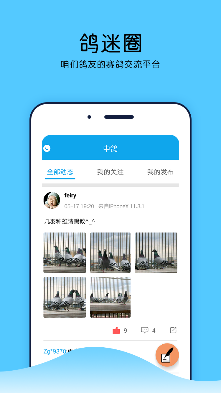中鸽网软件封面