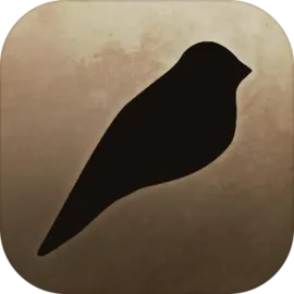 艾迪芬奇的记忆