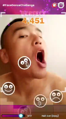 facedance challenge 面部跳舞iOS软件封面
