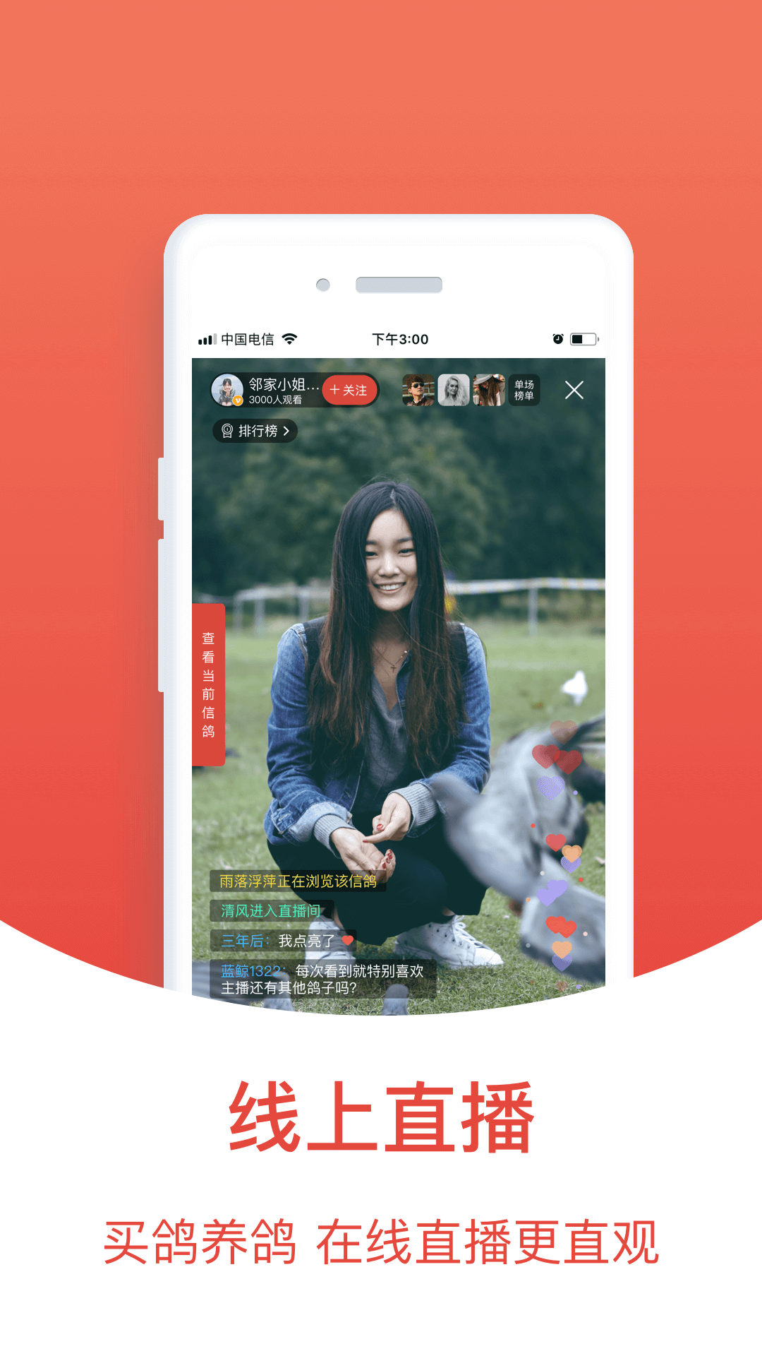 赛鸽头条软件封面