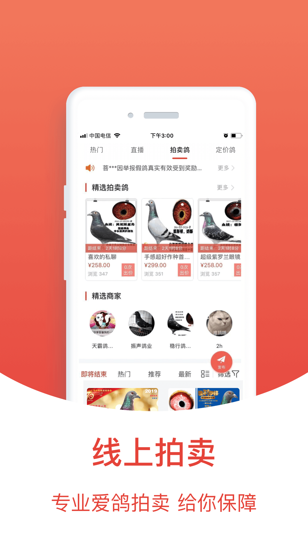 赛鸽头条软件封面