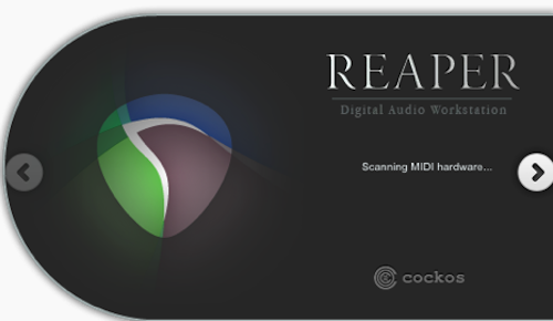 REAPER for Mac 的界面截图