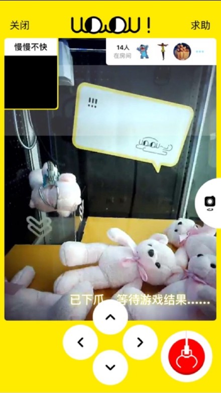 口袋抓娃娃ios软件封面