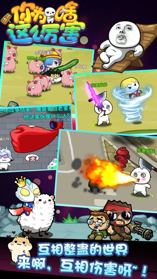 请问你为啥这么厉害软件封面