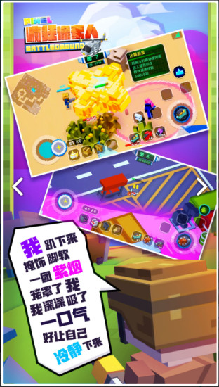 像素求生：疯狂像素人iOS软件封面