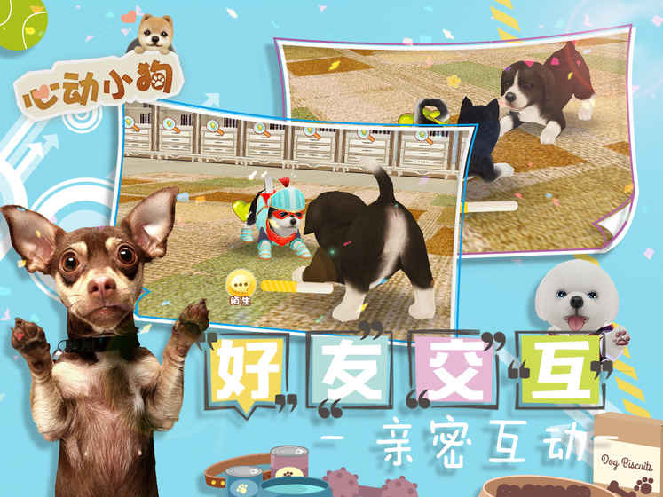 心动小狗ios软件封面