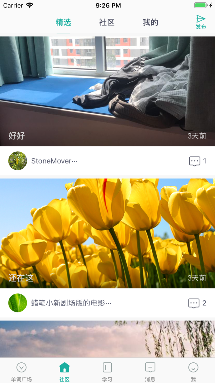 碰词儿软件封面