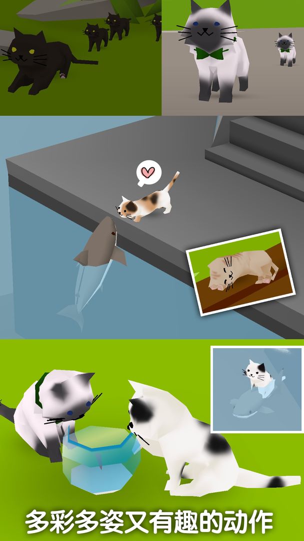 猫猫与鲨鱼软件封面