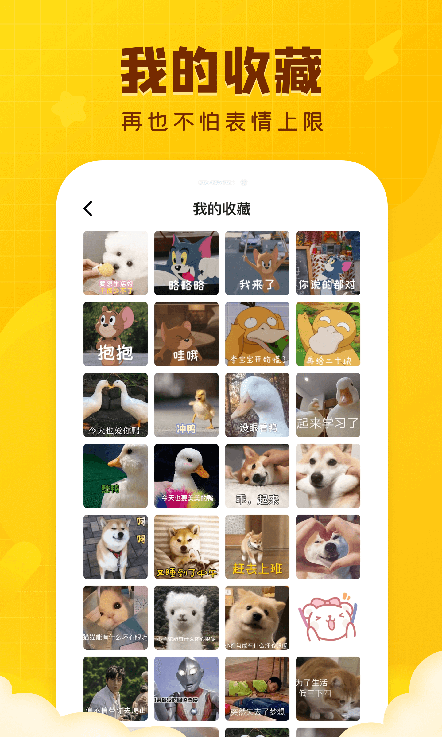 闪萌表情软件封面