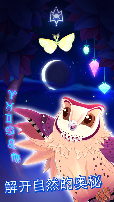 彩翼之星夜中文软件封面