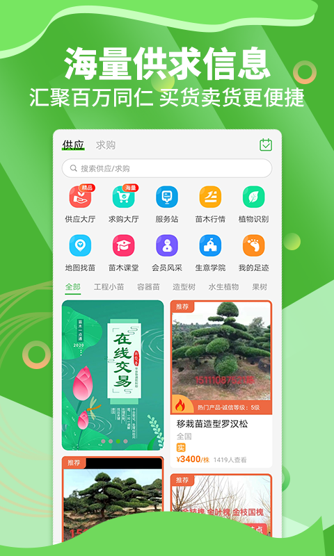 苗木通软件封面