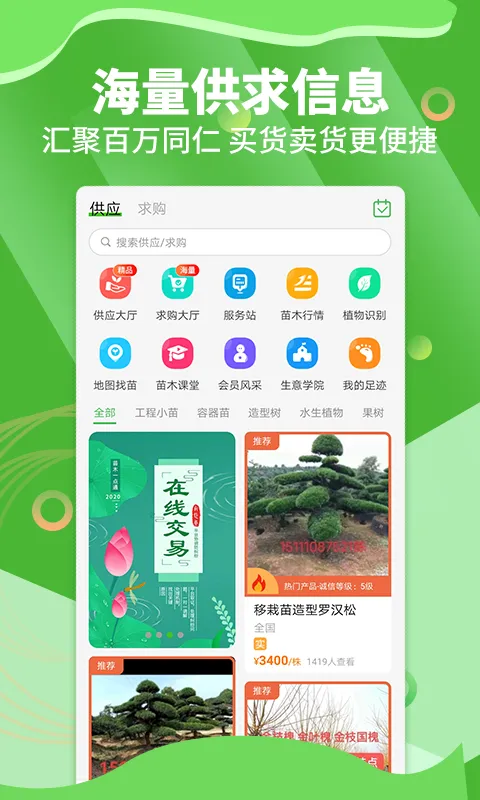 苗木通软件封面