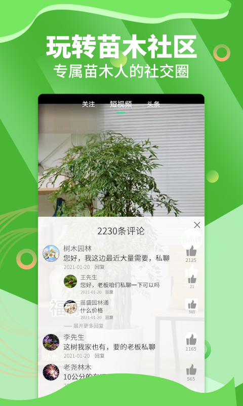 苗木通软件封面