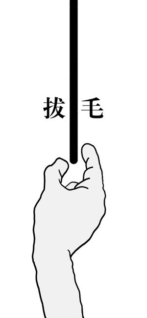拔条毛游戏软件封面