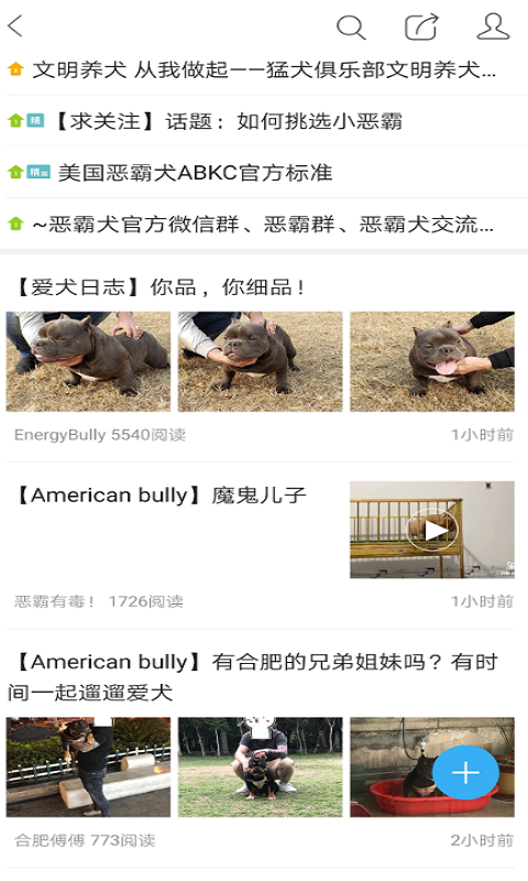猛犬俱乐部软件封面