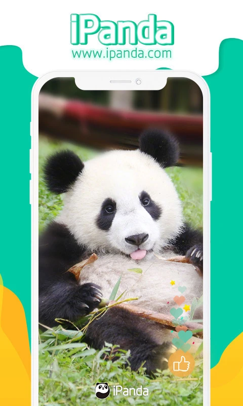 iPanda软件封面