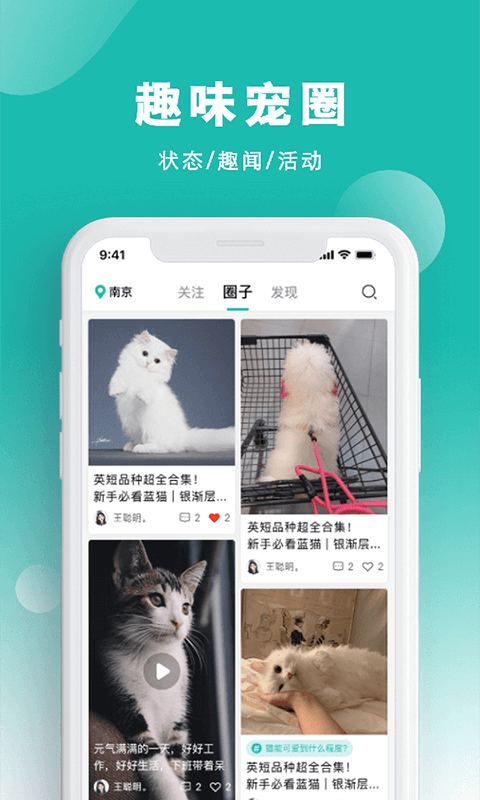 宠都软件封面