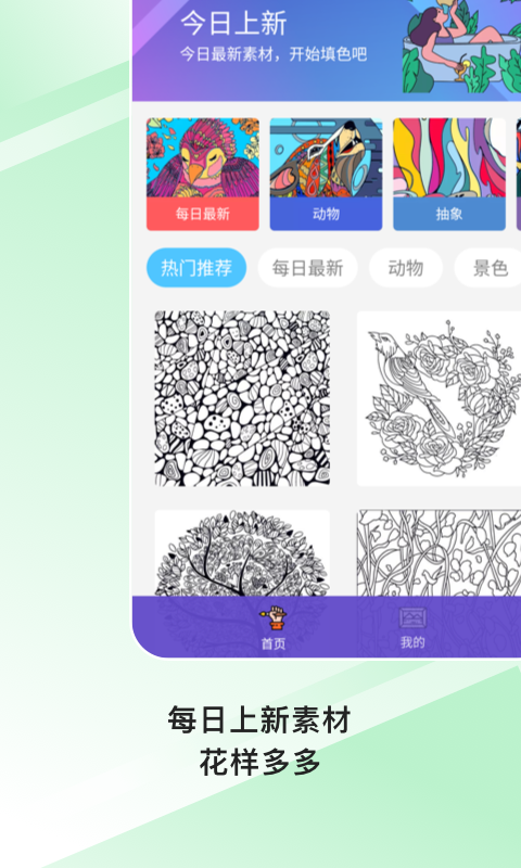 Paint数字填色软件封面
