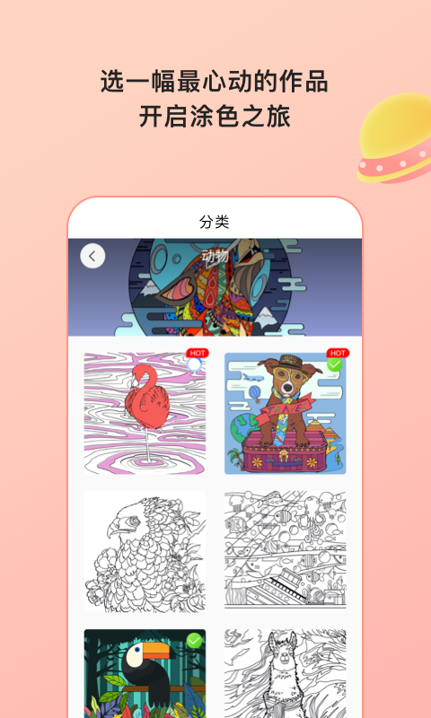Paint数字填色软件封面