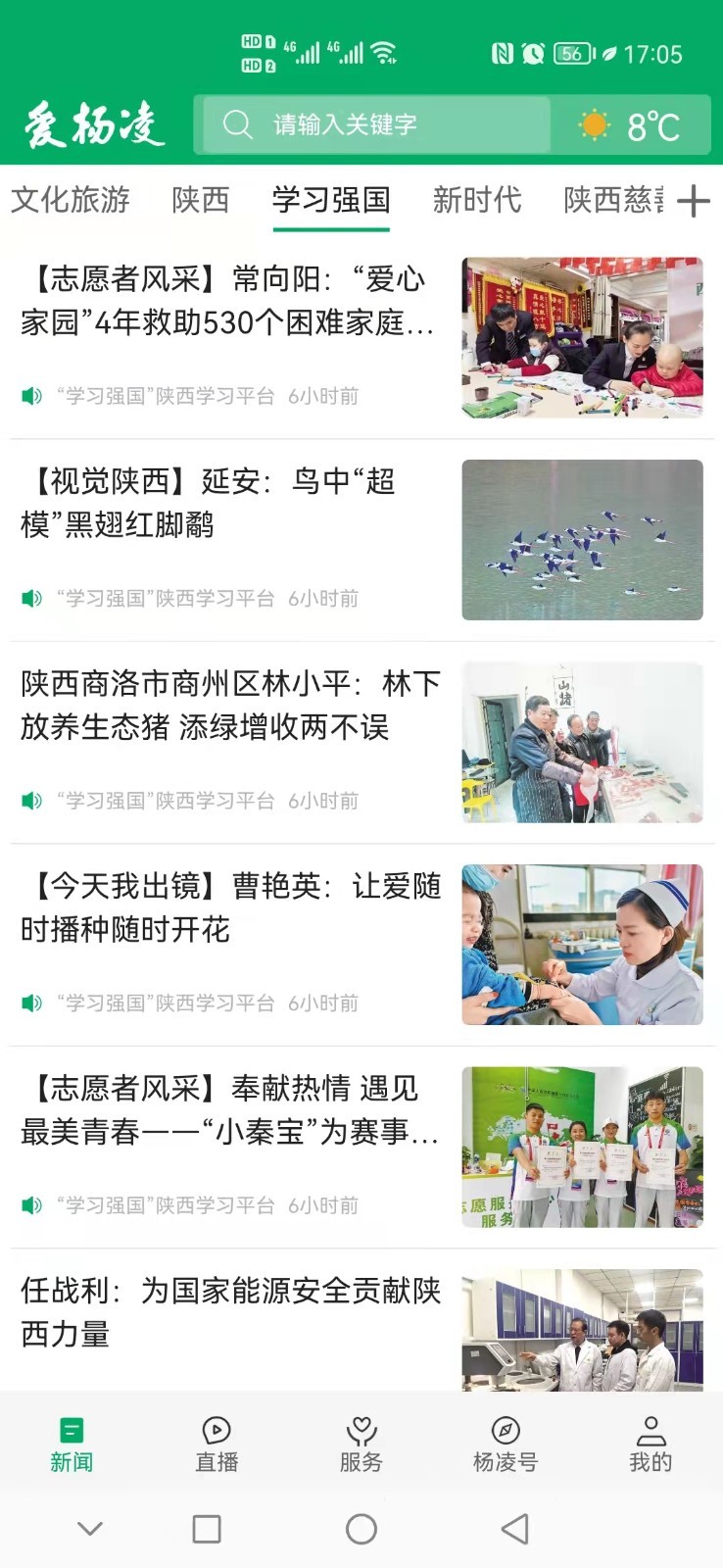 爱杨凌软件封面