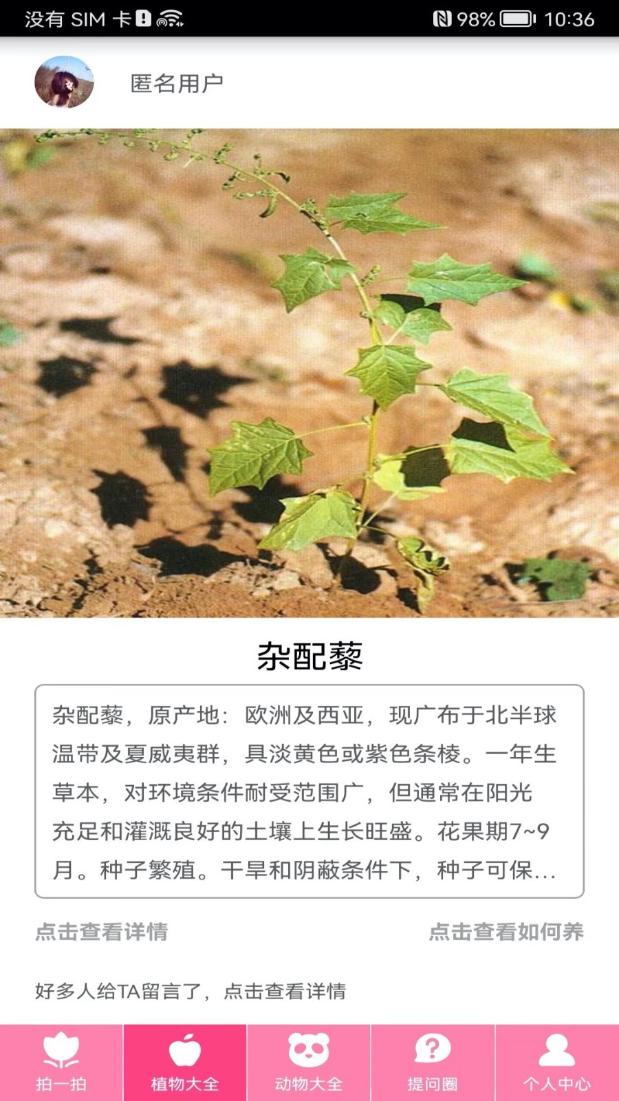 拍照识物软件封面