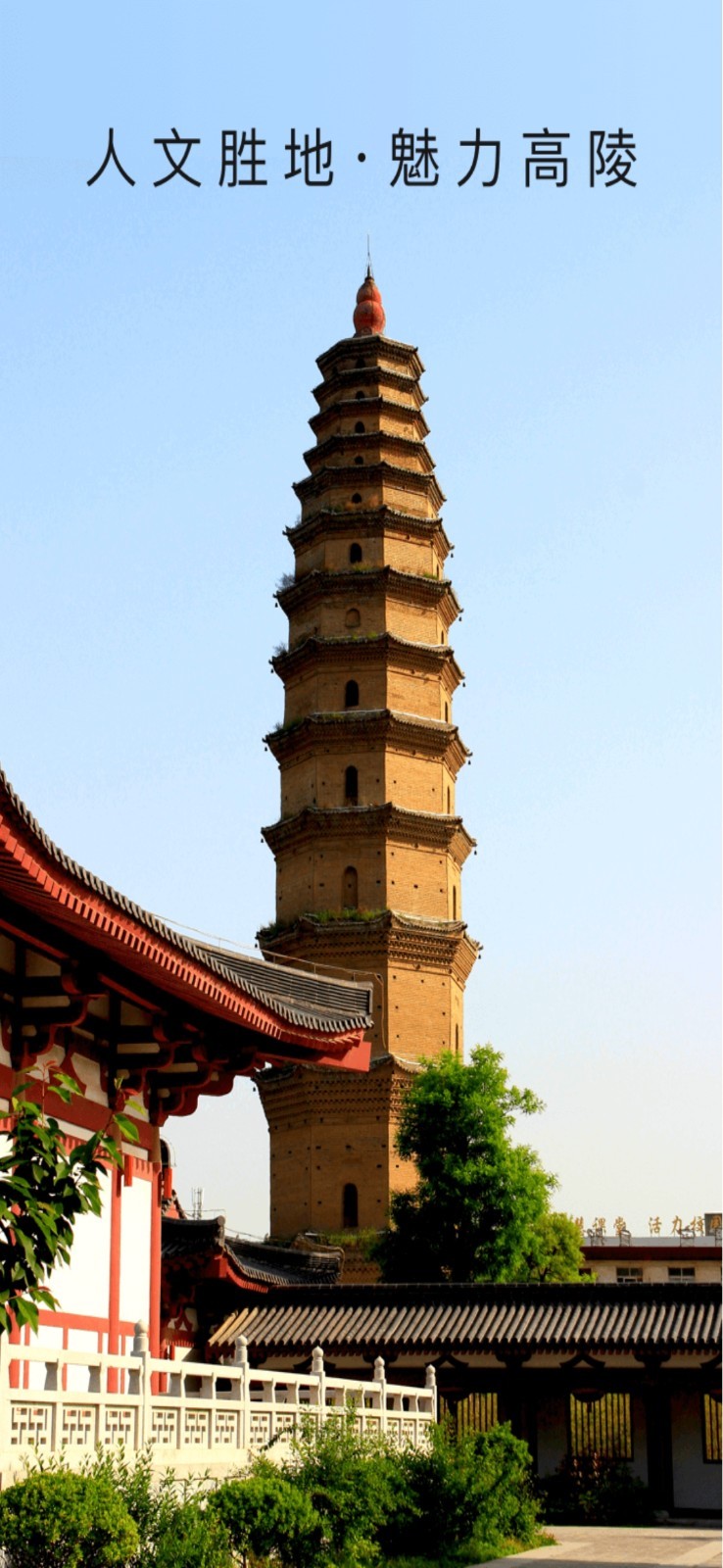爱高陵软件封面